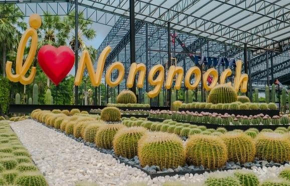 Khám phá vườn nhiệt đới Nong Nooch ở Pattaya có gì vui?