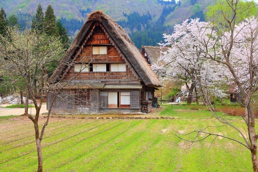 Ngôi làng cổ Shirakawago (白川郷)