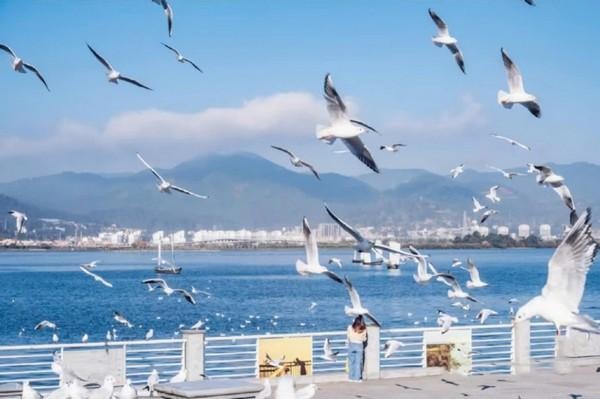 Hồ Điền Trì - Điểm đến "hot hit" cho team mê du lịch Trung Quốc