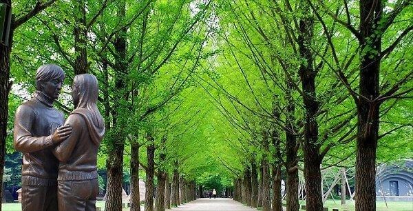 Du lịch đảo Nami Hàn Quốc vào mùa hè có gì thú vị? - BlogAnChoi